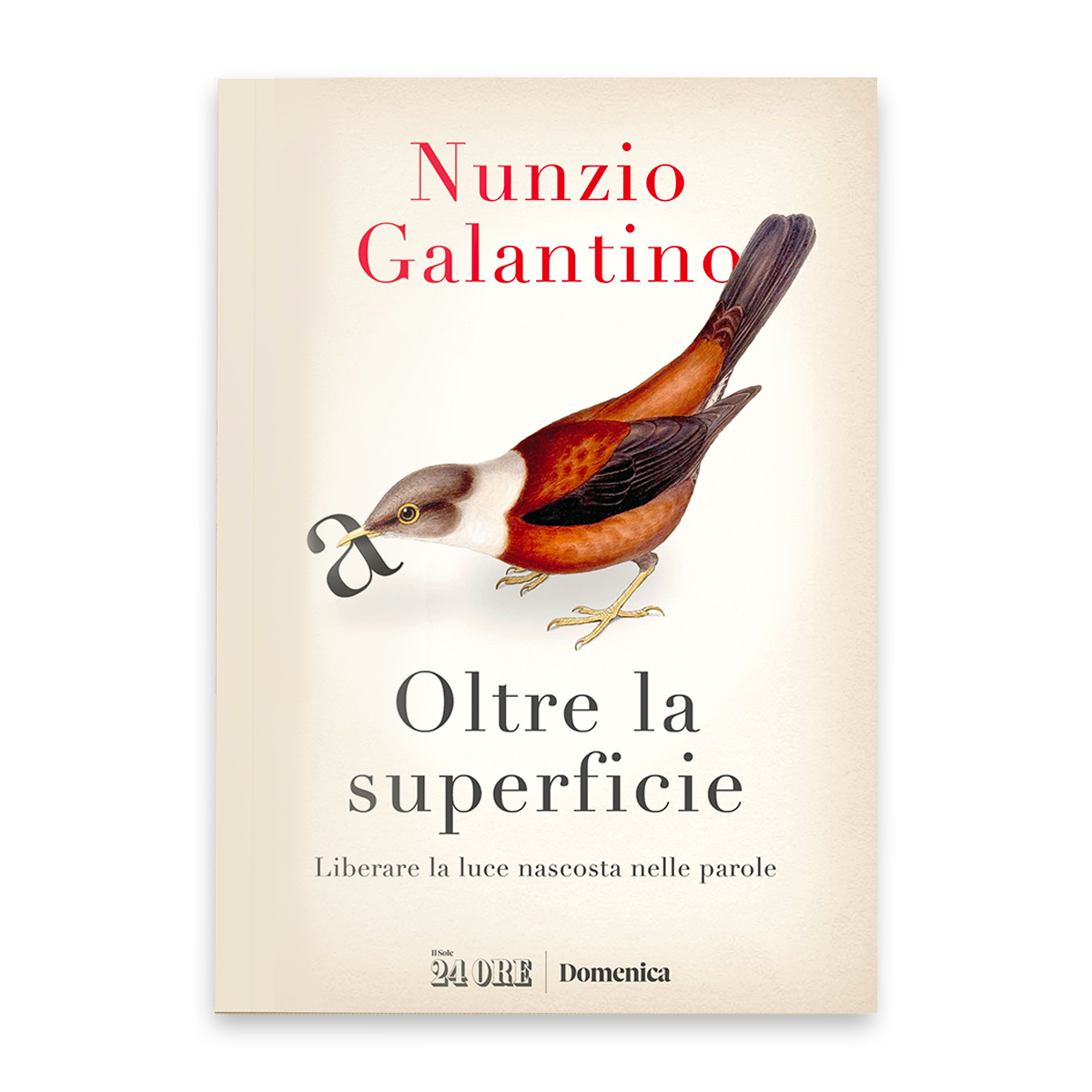 Oltre la superficie - Libri